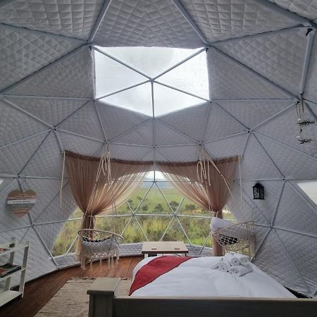 Pom Gratz - Ecodomes Hotell Hartebeesrivier Eksteriør bilde