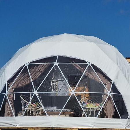 Pom Gratz - Ecodomes Hotell Hartebeesrivier Eksteriør bilde