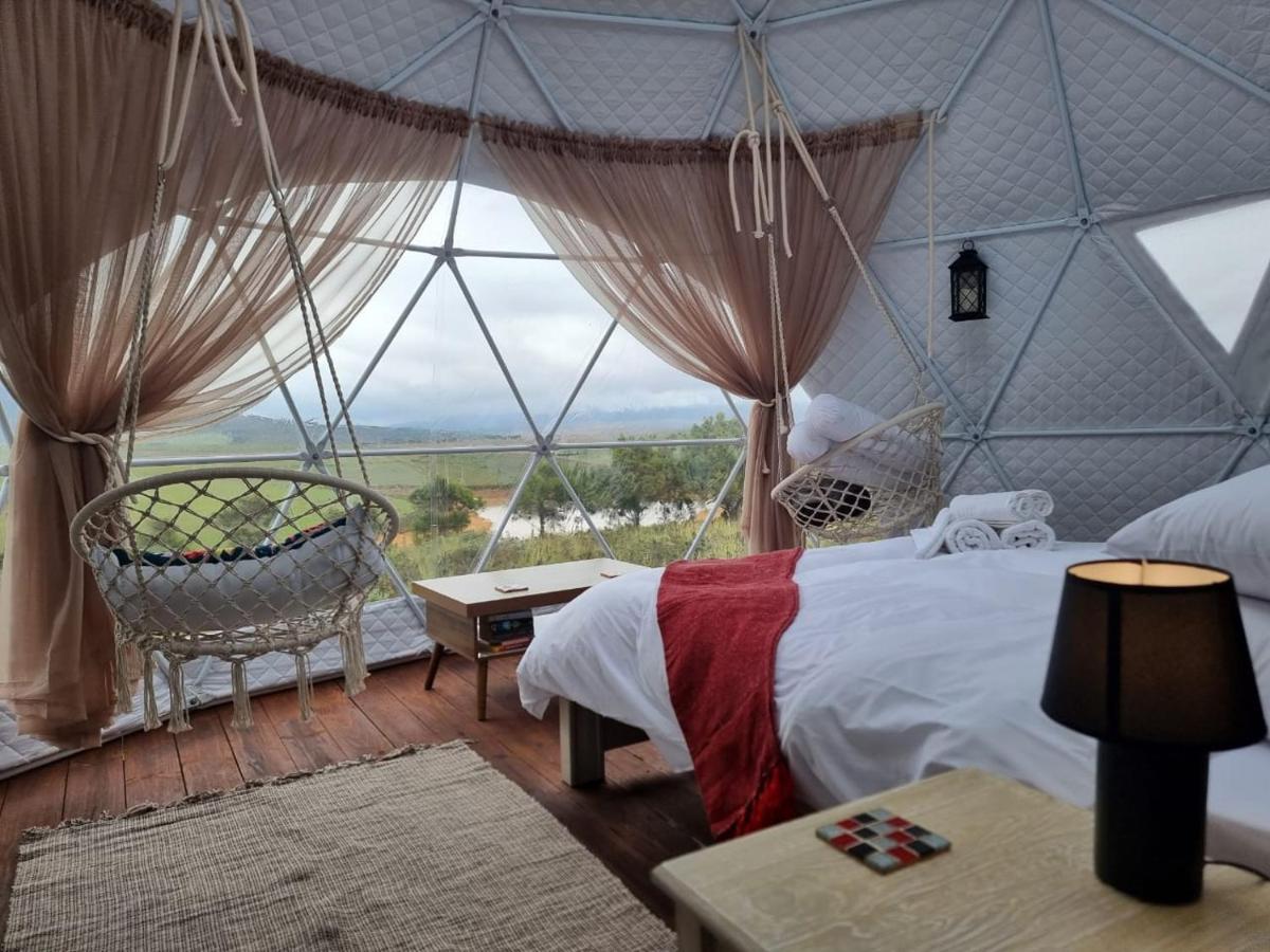 Pom Gratz - Ecodomes Hotell Hartebeesrivier Eksteriør bilde