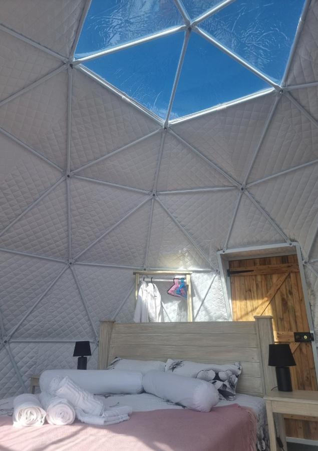 Pom Gratz - Ecodomes Hotell Hartebeesrivier Eksteriør bilde