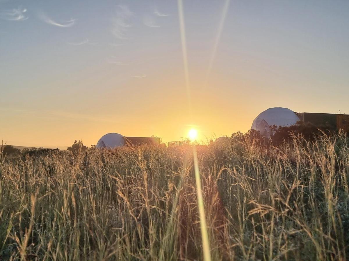 Pom Gratz - Ecodomes Hotell Hartebeesrivier Eksteriør bilde