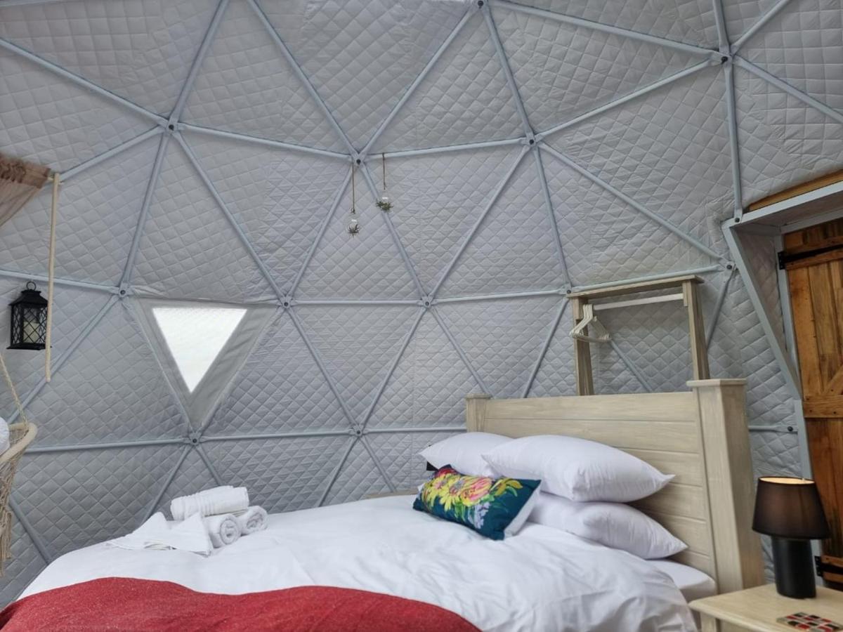 Pom Gratz - Ecodomes Hotell Hartebeesrivier Eksteriør bilde