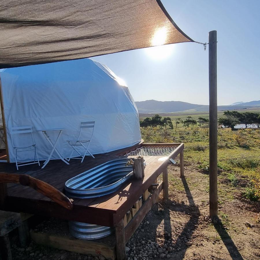 Pom Gratz - Ecodomes Hotell Hartebeesrivier Eksteriør bilde